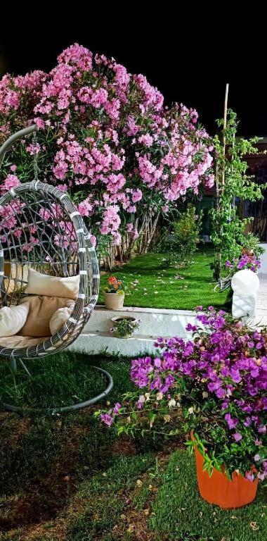 La Smeralda - Boutique Rooms And Breakfast กอลโฟอารันชี ภายนอก รูปภาพ
